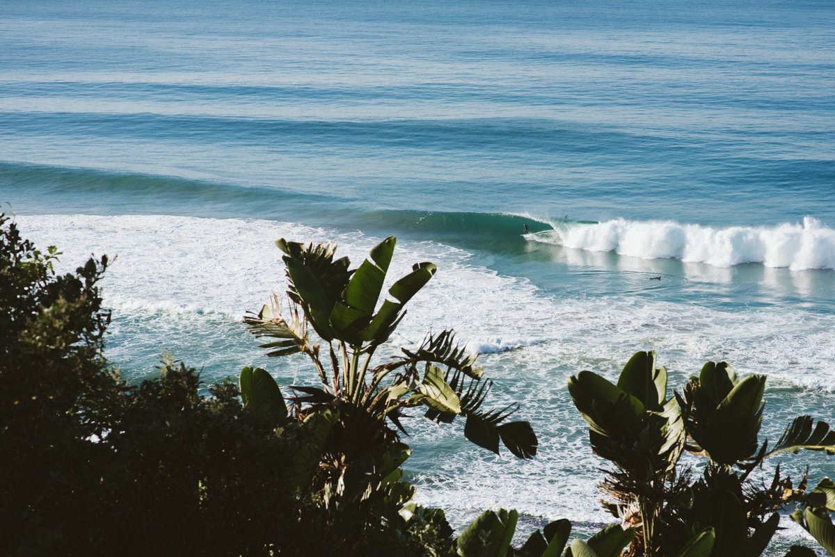 30x30NOW tweet media