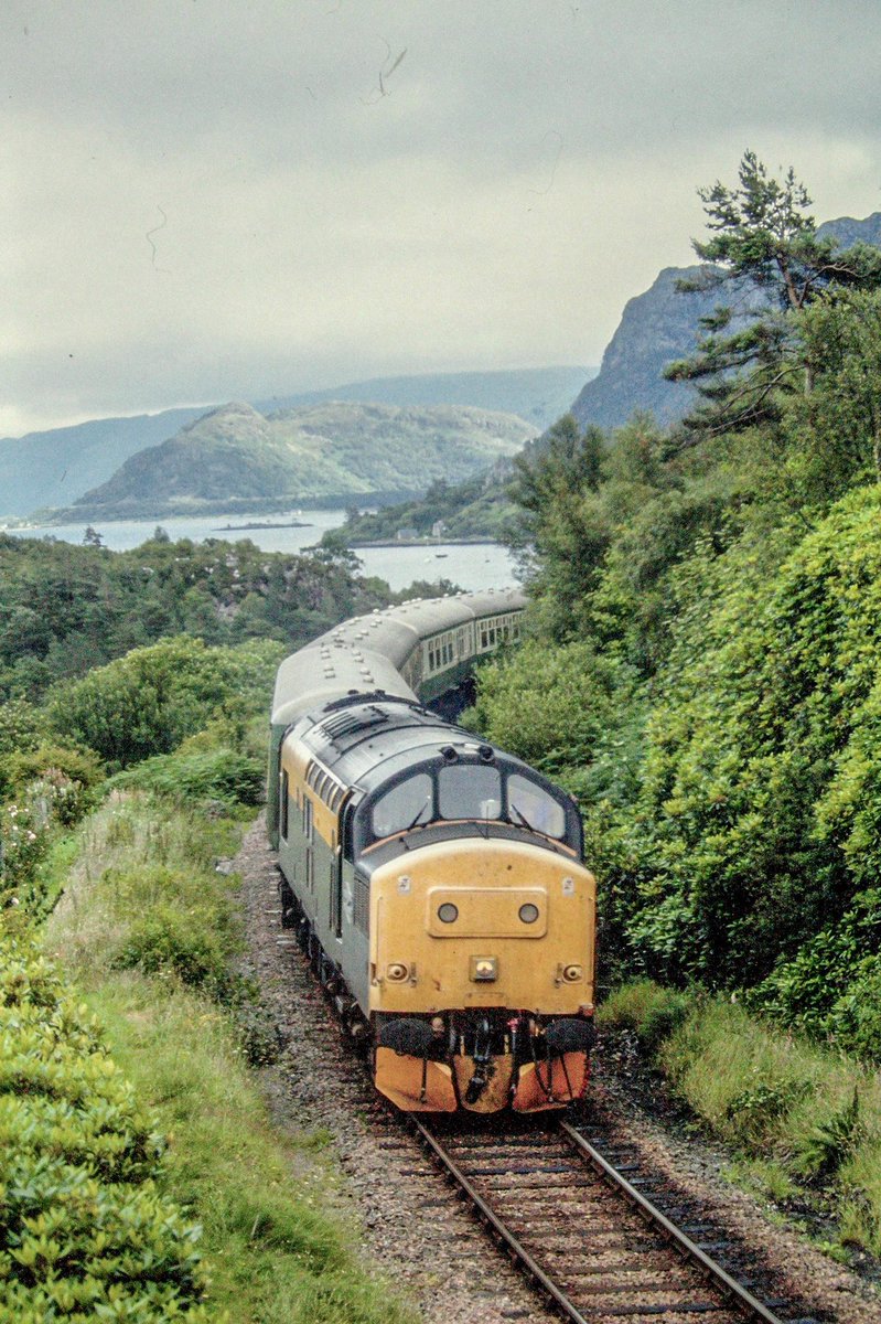 miles_chains's tweet photo. The outbound Hebridean service from Inverness to Kyle of Lochalsh approaches the Highland village of Plockton. #Class37 #Dutch #Plockton #KyleLine #Scotrail #Trainspotting https://t.co/BRrWk0pcPQ