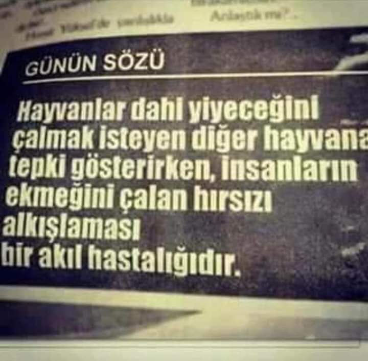 "Dindar bir toplumu ancak din adına, din alimleri kandırabilirdi; ve öyle de oldu."

Ali Şeriati

Ahmet Hakan  Kenan İmirzalıoğlu  Erzurum  Resmi Gazete'de  Aziz Nesin  Metroda   Kurgu  Otelde   İstanbul  Metin Öztürk  Davutoğlu  #BırAKınPalavrayı  Kestane