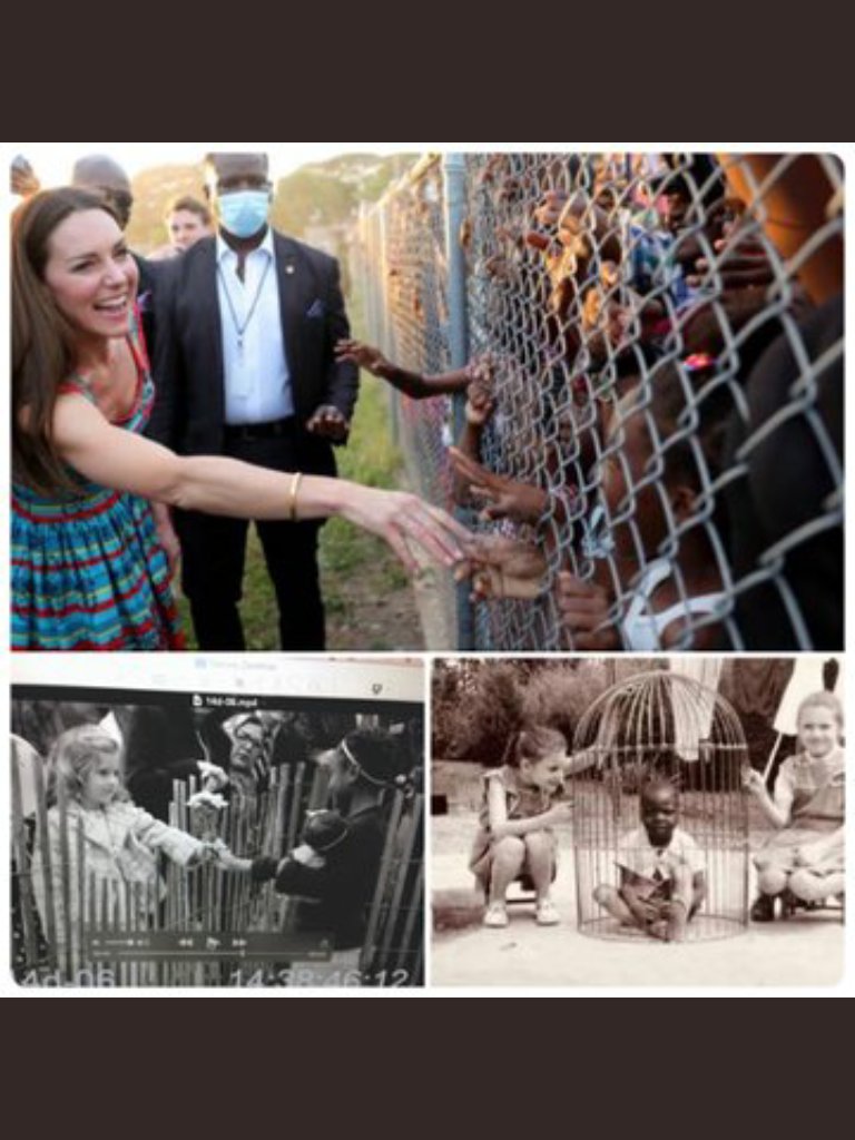 RegalOS65 tweet media