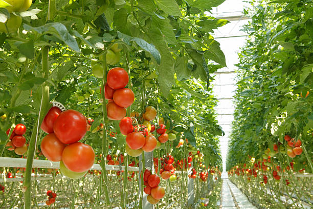 WorldlyHQ's tweet photo. If you think that agriculture is exciting, like and retweet. https://t.co/KF0ATvZamQ