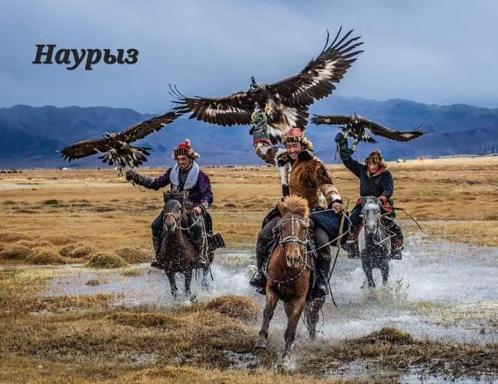 Бүх казак жиргээчиддээ баярын мэнд