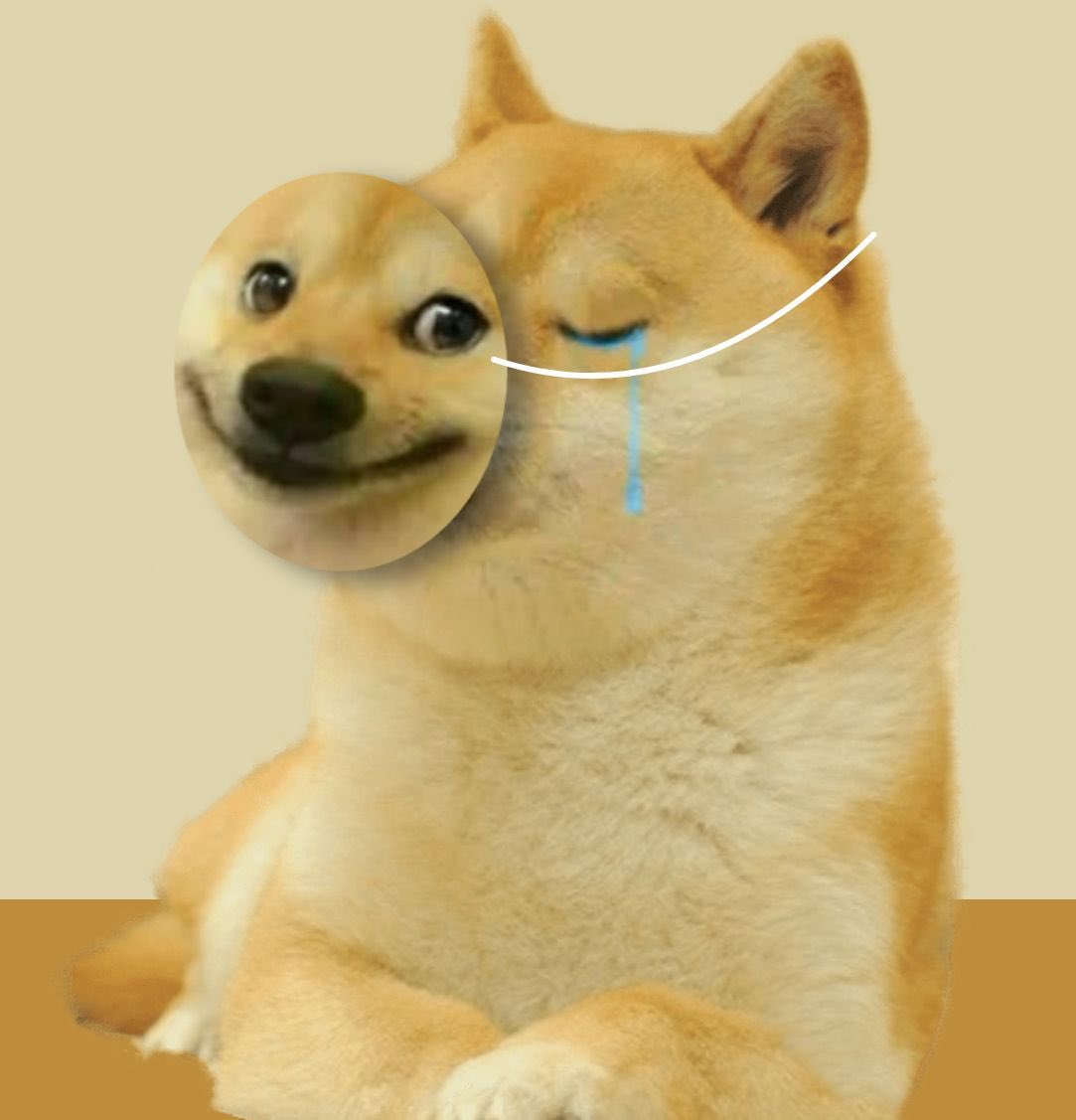 Howard36043195's tweet photo. @DogemonGoApp https://t.co/YOz6GXhCqq
