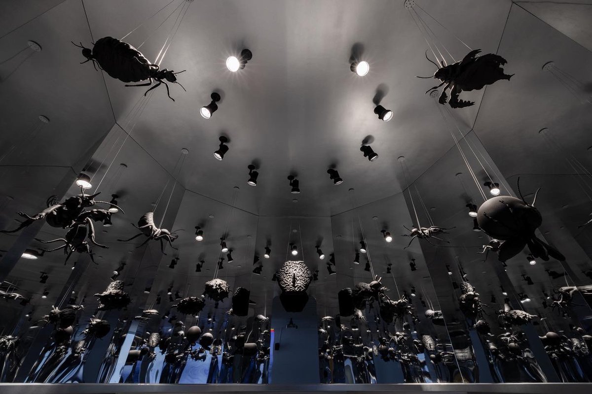 Kuang-Yi Ku tweet media