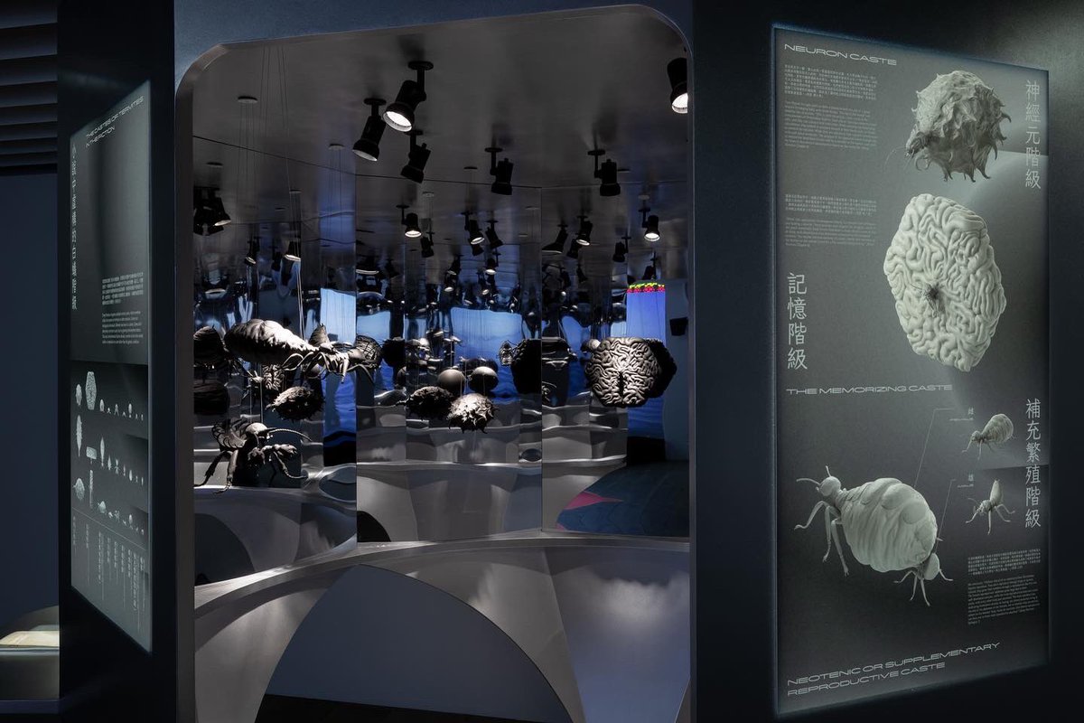 Kuang-Yi Ku tweet media