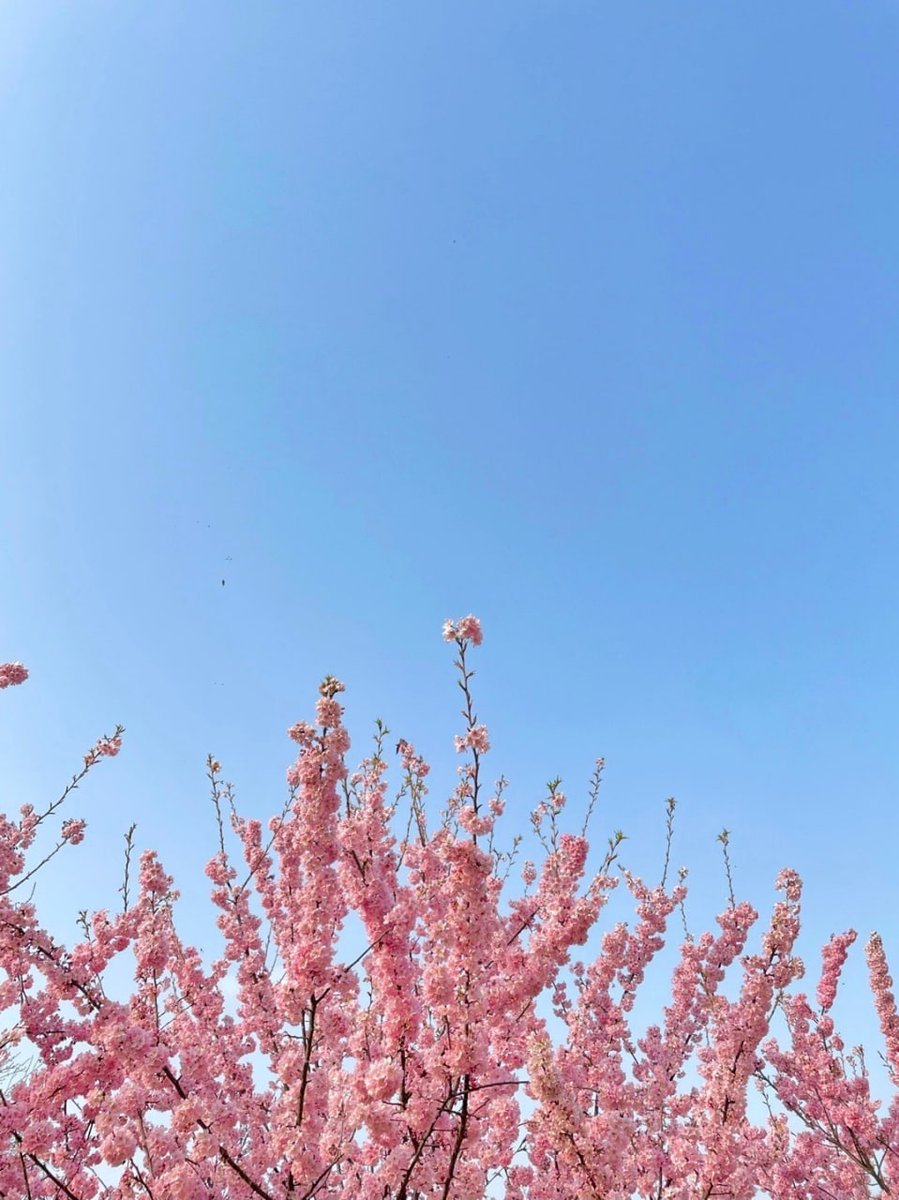 MaggieIsidore's tweet photo. 风景一个人去看也不错 https://t.co/7ERdYZa2v9