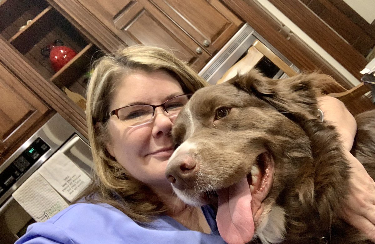 SeiBellaLR's tweet photo. My sweet #JackBrown from the #Arkansas #PawsinPrison program. Such a sweetheart. Very scared of the thunderstorms this afternoon, though. #dogsoftwitter #momof8furbabies #rescue #AustralianShepherd https://t.co/aUUxTd7QQp