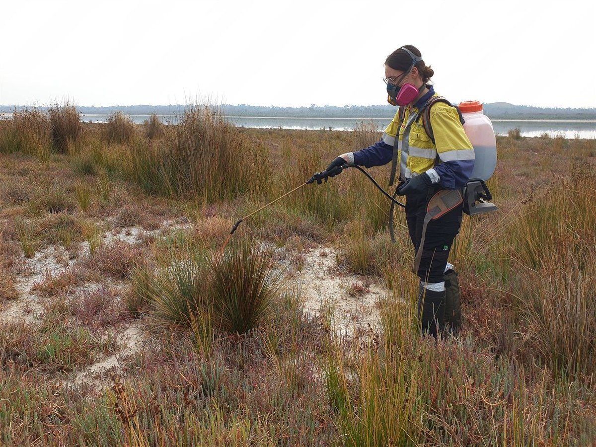 Mike_PHCC tweet media