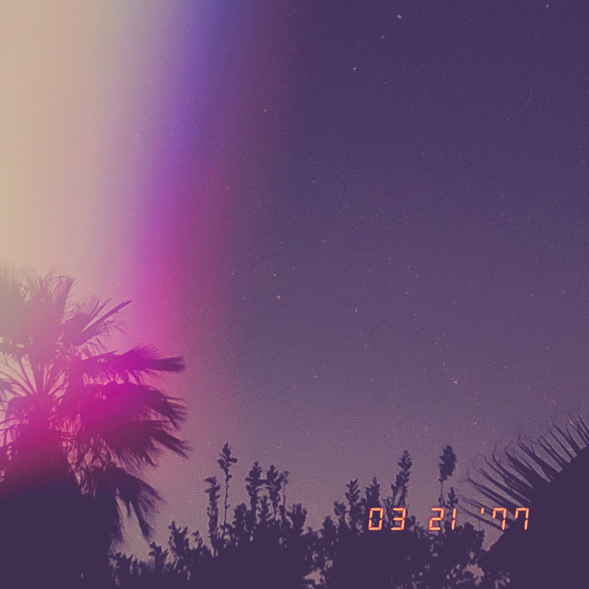 Chasing Light (@artificiallense) on Twitter photo 