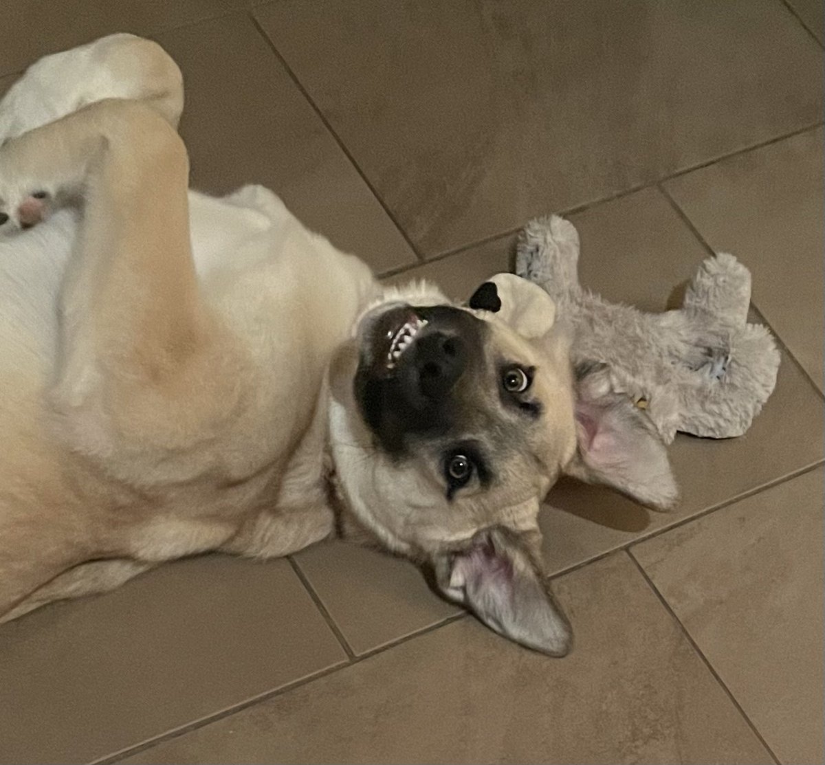 eenied's tweet image. 