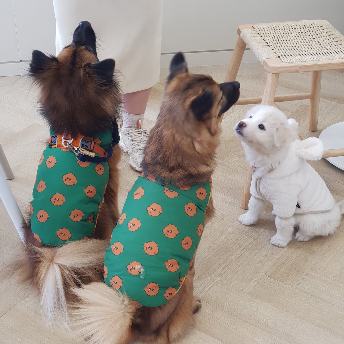 MyLittleTanTan's tweet photo. 형제모임🤸‍♀️ https://t.co/T4gc0Y8lcT