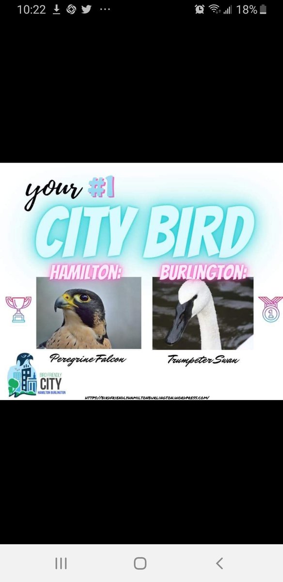 Glad I was part of the team that fought to keep them from any LaSalle expansion