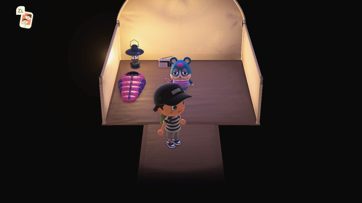 papomontilla's tweet photo. #AnimalCrossing #ACNH #NintendoSwitch https://t.co/pNlBtrnppO