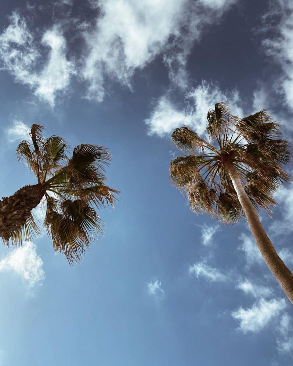 To the blue sky and back.
Fuerteventura, La Oliva corralejo. 

#effeipostcard