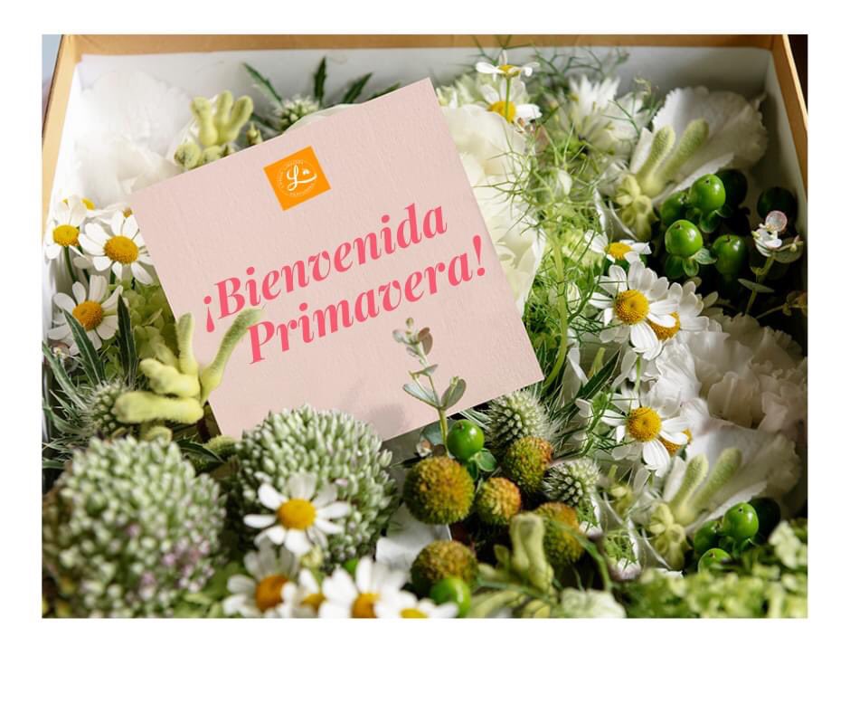 PerfumesLydia's tweet photo. La primavera ha llegado!!🌺🌸🌼

#Primavera2022 #FelizLunes #Primavera https://t.co/cKnMeS8arV