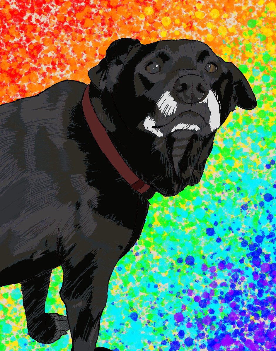 hyper_doodles's tweet photo. Old art I made of my dog when I was sad and missing her https://t.co/cNAXftRZbI