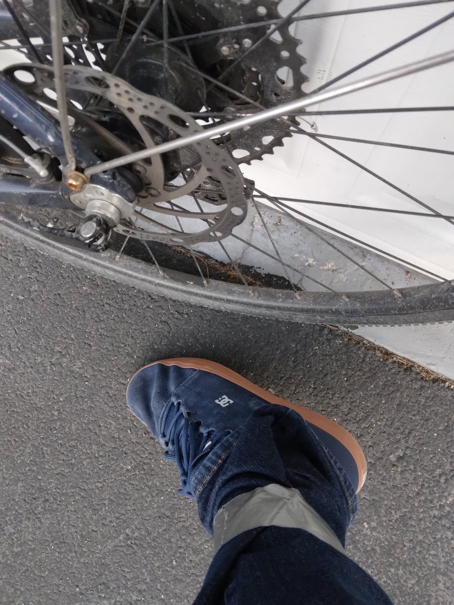 Drew_Lab's tweet photo. An ecologist bikes home from work.... https://t.co/r1q6rBBejK