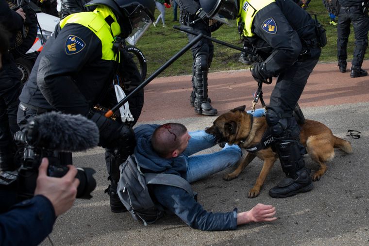 Арест гааги. Нидерланды разгон демонстрации. Собаки в Голландии для разгонов митингов. Разгон митинга в Нидерландах собаками. Протест в Нидерландах собака.
