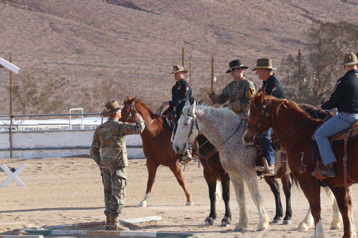 11th ACR Horse Detachment tweet media