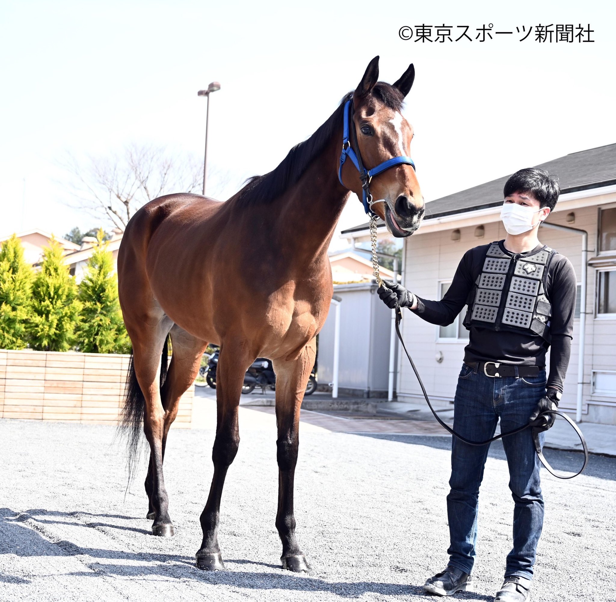 メイケイエール　引退記念ジャンボバスタオル　高松宮記念　競馬　JRA   ウマ娘 ありがとうメイケイエール✨】 メイケイエール引退記念グッズが