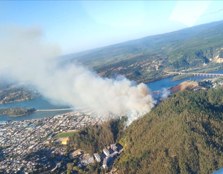 CONSTITUCIÓN. Incendio forestal en sector Cerro del Estadio. Personal de Bomberos, CONAF, brigadas de Arauco y Mininco