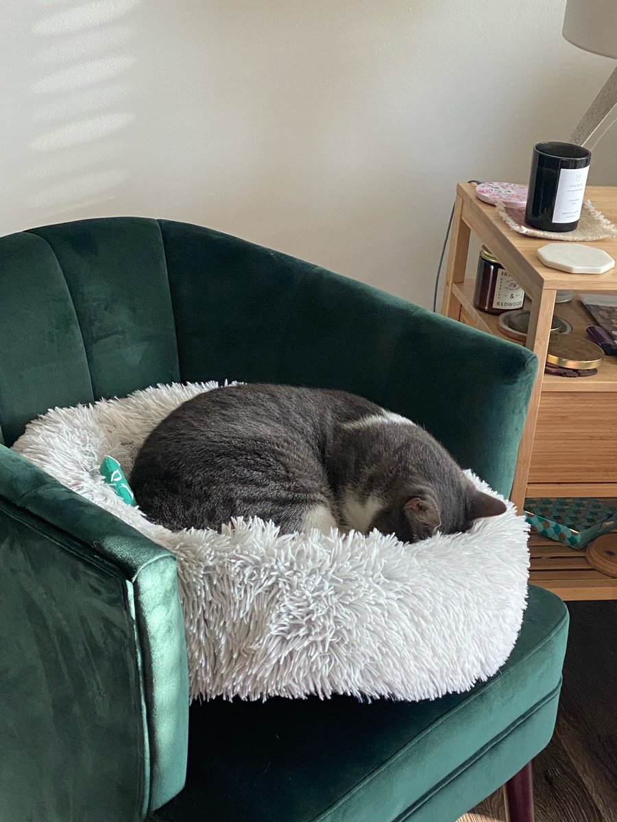 allygater_'s tweet photo. Ryan has cat allergies and we had to give him Benadryl… he’s been sleeping like this for an hour https://t.co/kTiYw8mQwr