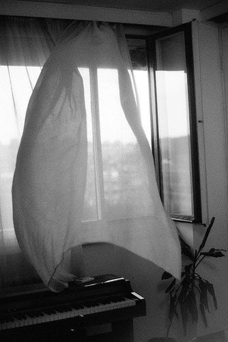 Ina de Bree tweet media