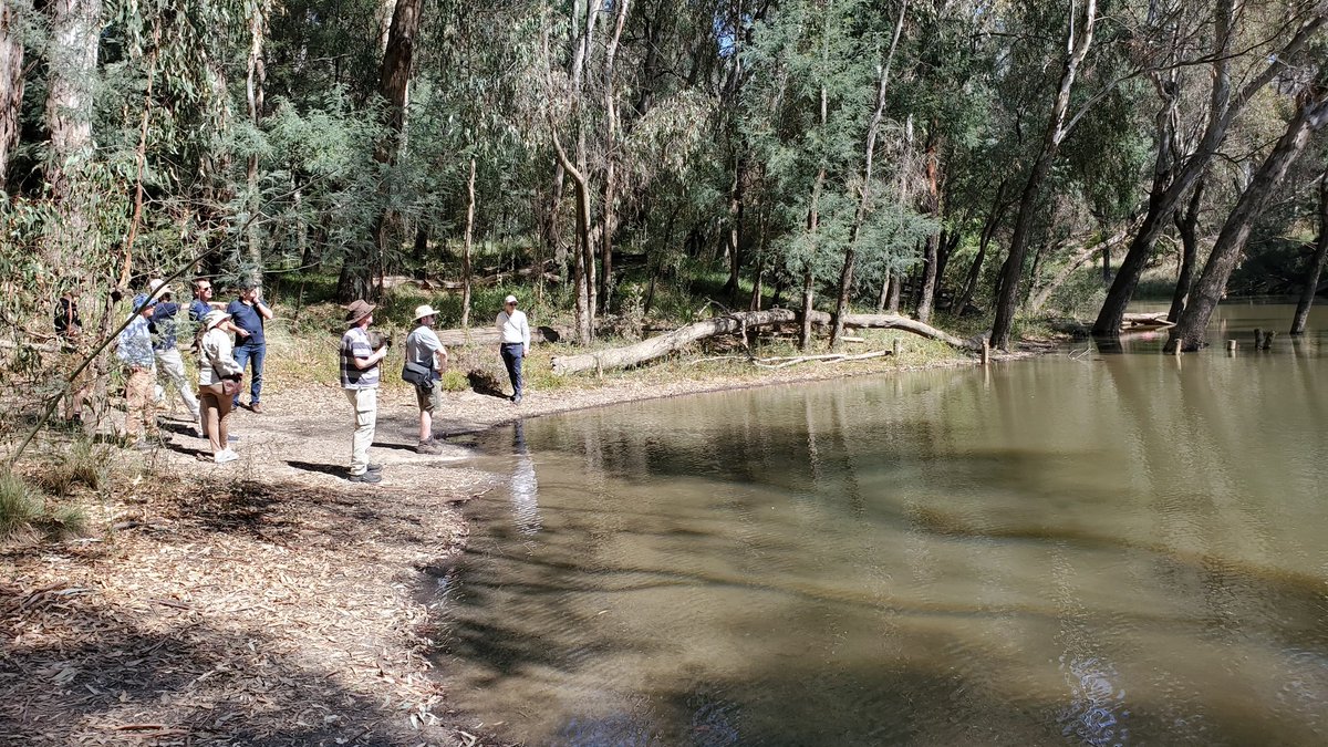 MakeWaterSENSE tweet media