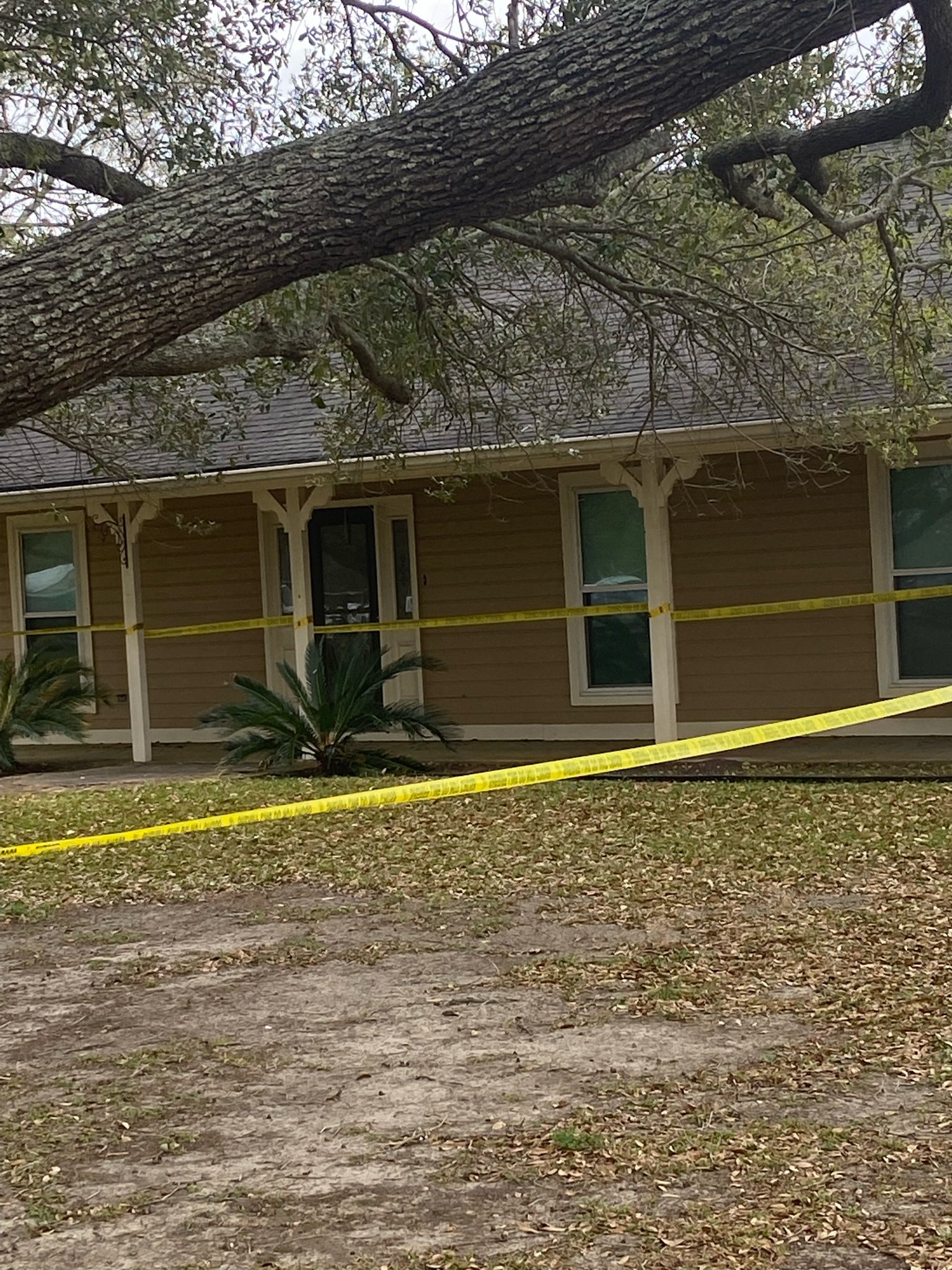 Lester Street Murders: A Family'S Heartbreak - 1p5c6vo