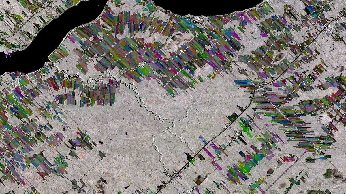 Pedro_forestsensor 🛰️🌍🌳 tweet media