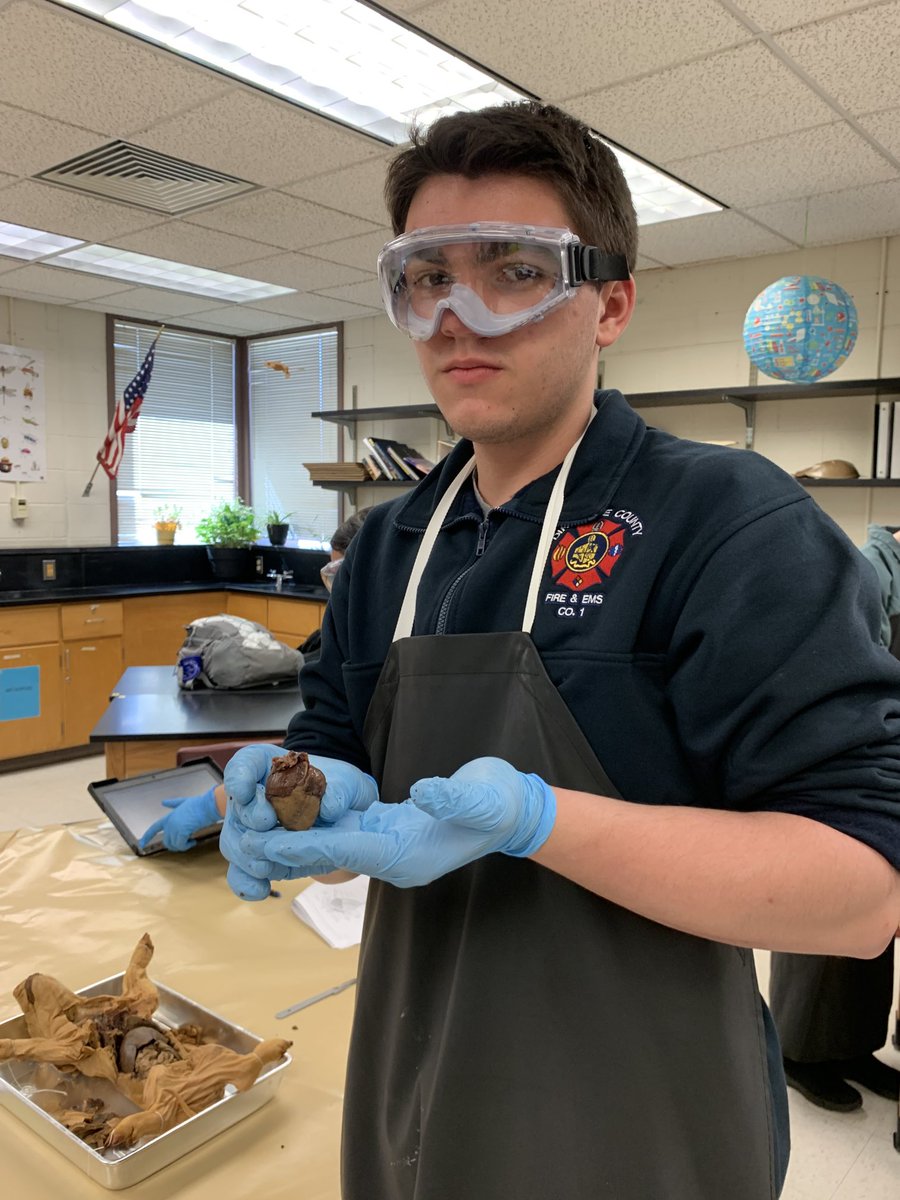science_anderso's tweet photo. #DEBiology students dissect fetal pigs to compare their anatomy to human anatomy.  #bettereveryday #carveracad #biology #CCPSscience https://t.co/16W5D9suwa