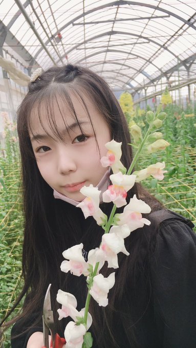 さらのTwitter画像4