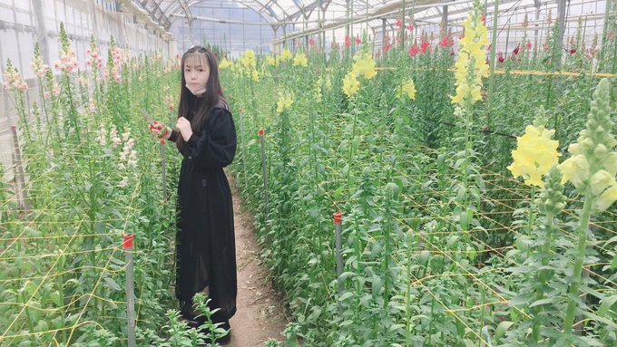 さらのTwitter画像5