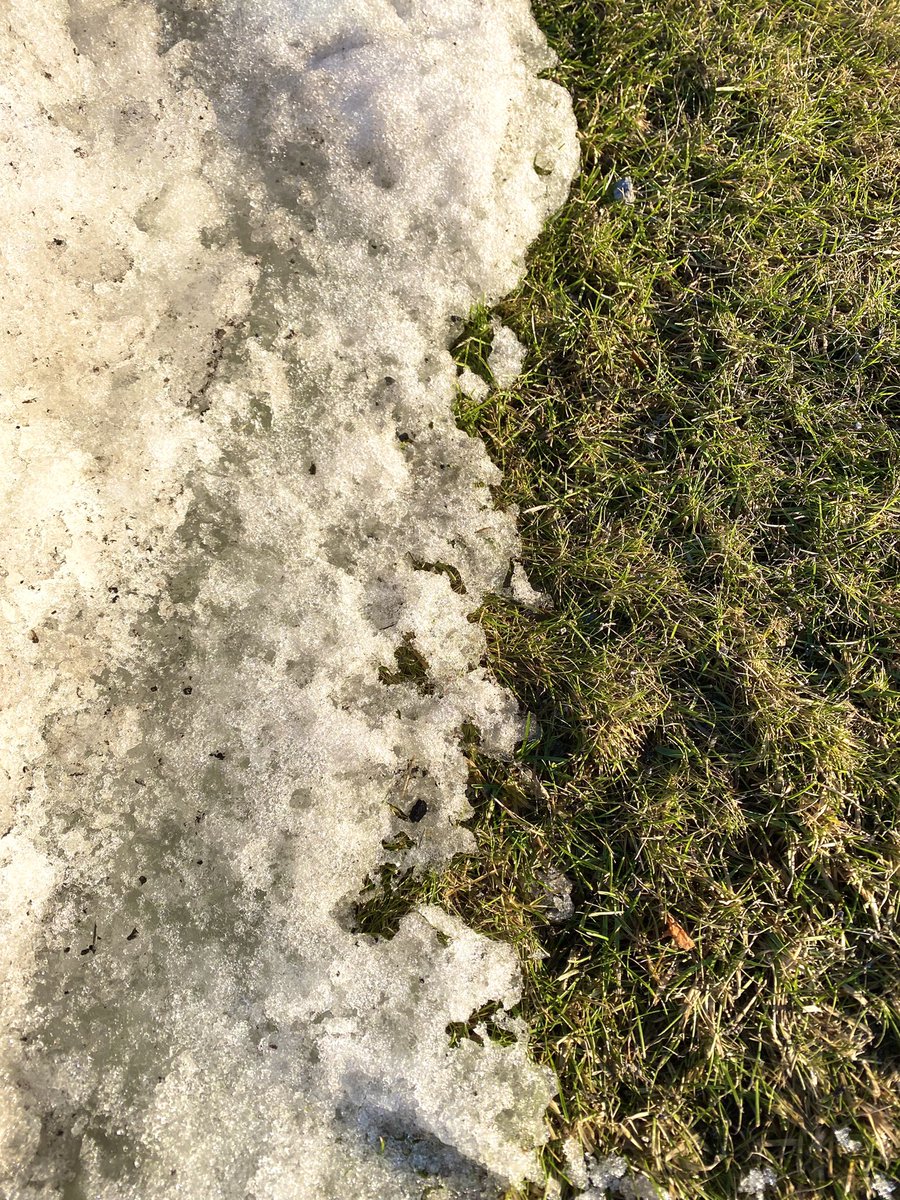 nnori's tweet photo. #FindSpring white and green https://t.co/sgujlALDOy