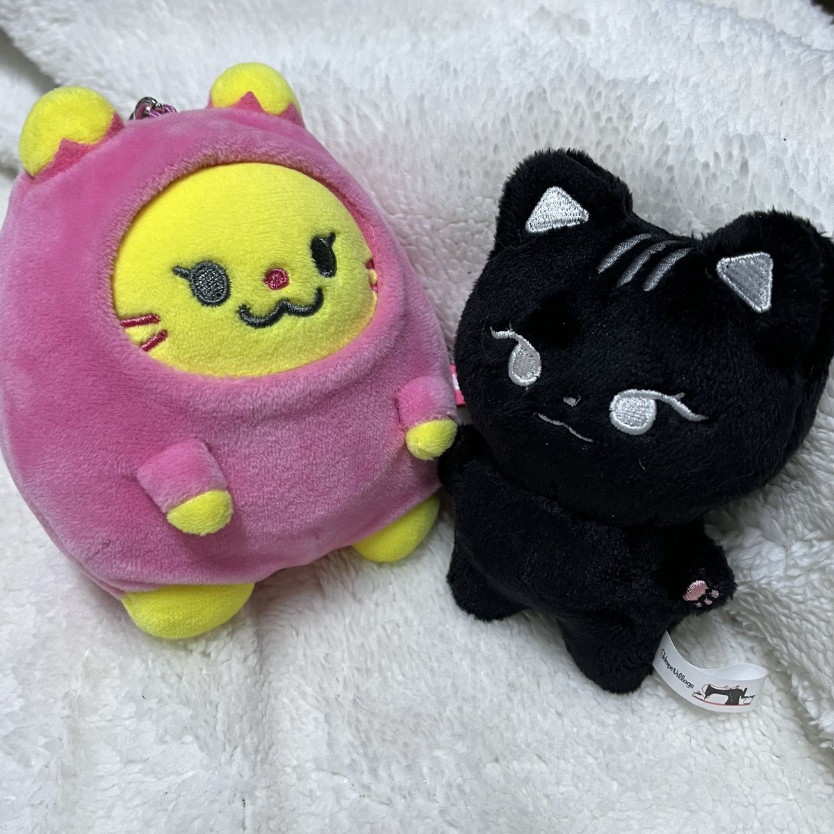 나도 왔다 깽냥이🥹 같은 핑크젤리끼리 잘지내보자고~~~