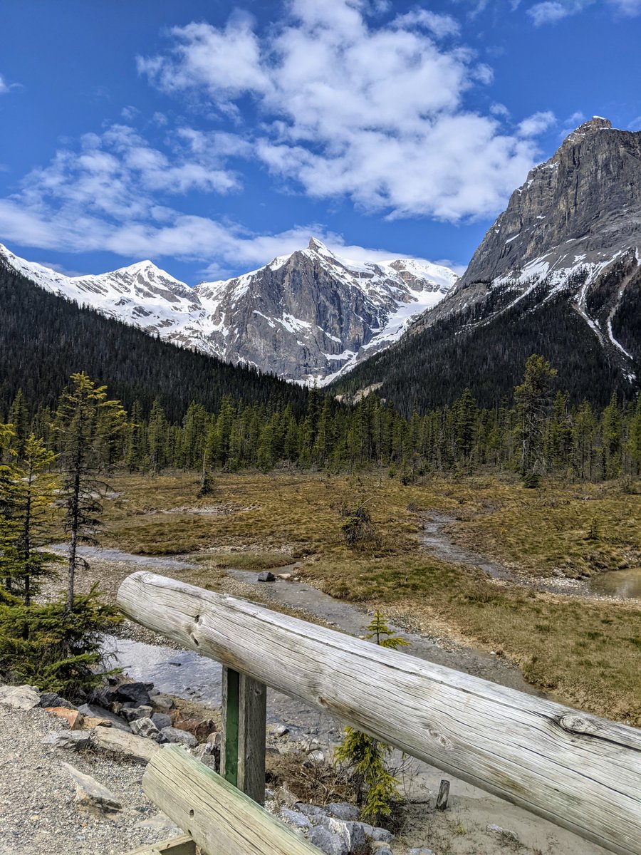 jme900's tweet photo. @NordicNature2 @Nataliloveslife Emerald Lake (in BC, Canada) https://t.co/qfGnqAMNQn