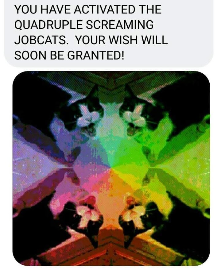 Brick_MoJo's tweet photo. HIRE ME JOBCAT!!
(Things are moving...)
#JohnnyPaycheck
#StJoseph
#ChaosMagic
#HireMeJobcat
#MagicalJobcat https://t.co/OGZxvj71Pl