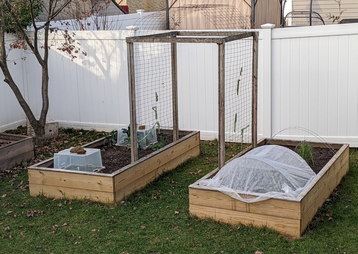 MissSarah153's tweet photo. Before the garden spring clean up 👌👩‍🌾 #Spring  #raisedbeds #gardening #vertical #vegetables #flowers #organic https://t.co/vzRgHzzawD