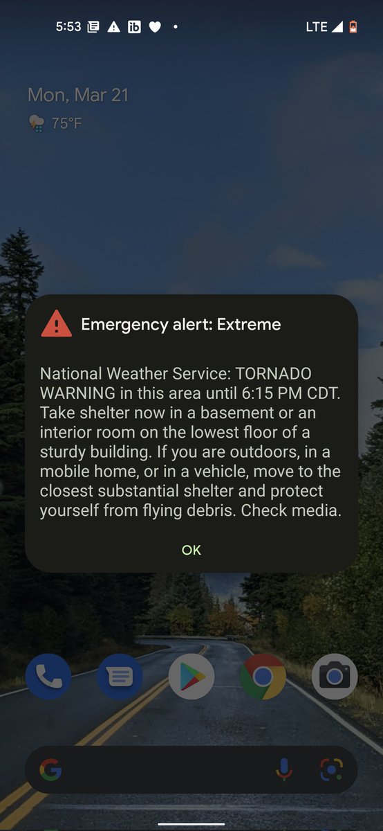 Katrina Kibben tweet media