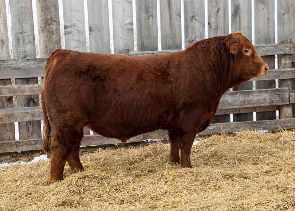 Eric Boon tweet media