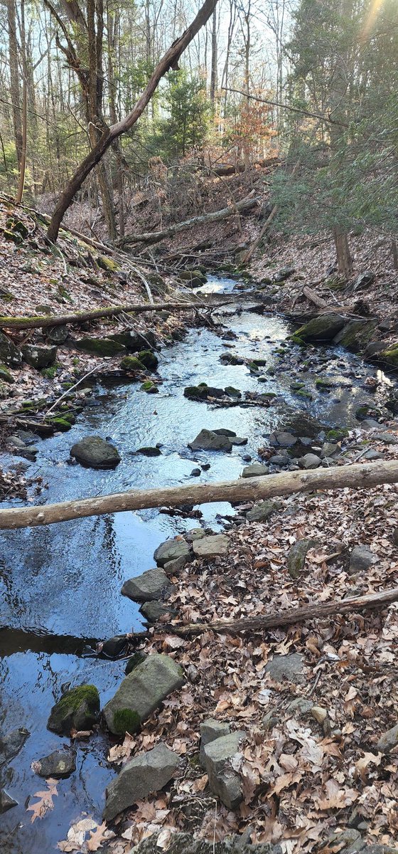 Hudson_Hiker's tweet photo. I love the fact that no matter where you live in #Peekskill you can walk 1-1.5 miles and enter the woods and go hiking on trails...yeah that is absolutely one of my favorite reasons I love this little City ❤🌲 #Peekskillrocks #hiking #lovepeekskill https://t.co/Og3ON9PMF3