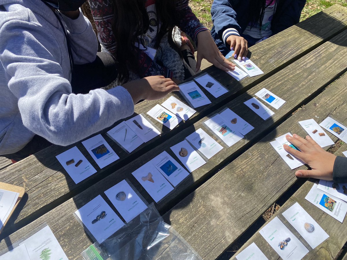 Brittany Thomas tweet media