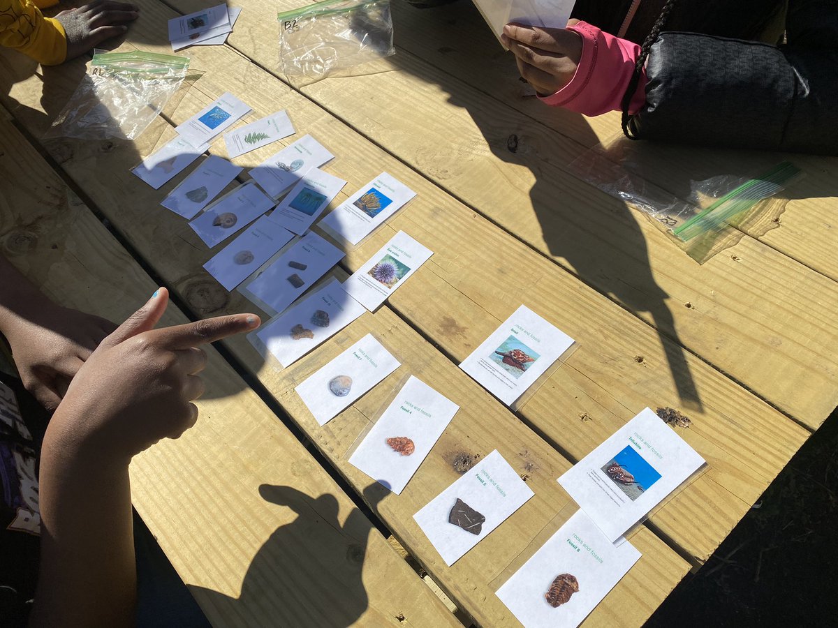 Brittany Thomas tweet media