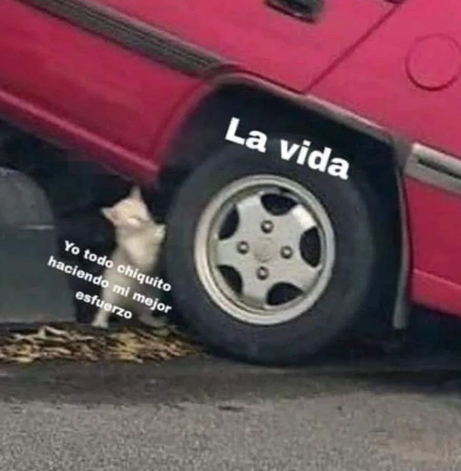 La vida adulta me destruye