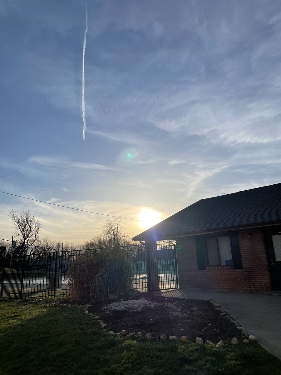 Copper Beech Radford tweet media