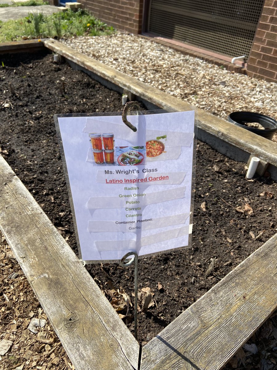 Look at the awesome crops we have started <a href="/HESCourtyard/">Hillcrest Courtyard</a> <a href="/Hillcrest_BCPS/">Hillcrest Elementary</a> . We are so lucky to have families teaching Ss about ethnically diverse foods. #equity <a href="/BCPSOutdoorSci/">广州</a> <a href="/ramos_maria1/">Maria Ramos</a> <a href="/almorrow0430/">Adrienne L. Morrow, Ed.D.</a>