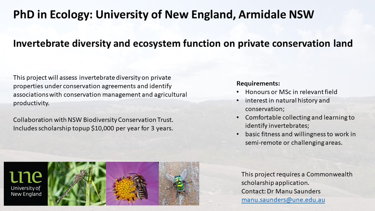 Current project opportunities available with successful scholarship: 🐝🦋🪲Invertebrate diversity on private conservation land (includes funded topup $10,000 pa from @BCT_NSW)