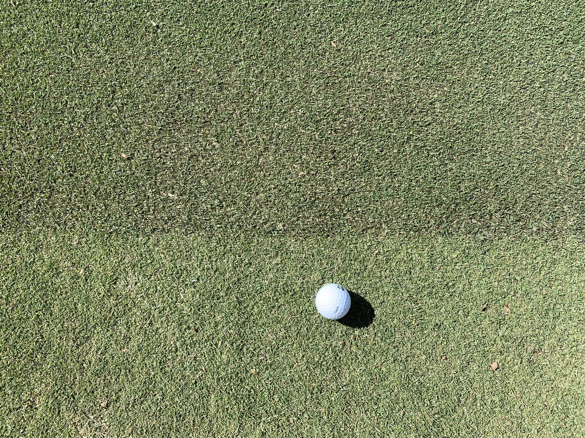 turffboy67's tweet photo. Love the TifEagle with the Diamond Zoysia fringe cut.
.125”/.185” https://t.co/855r4vtyKK