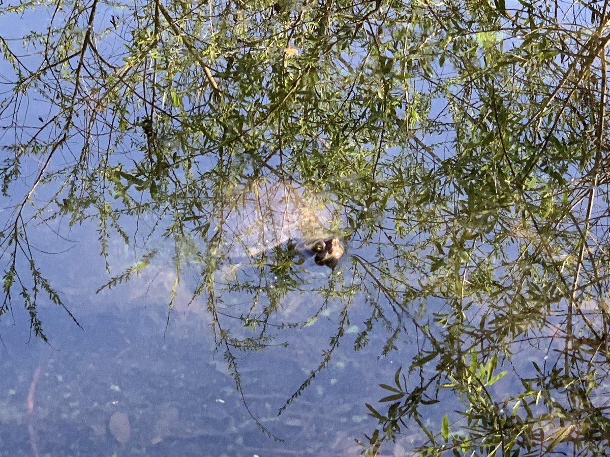 Rachel Estacion tweet media