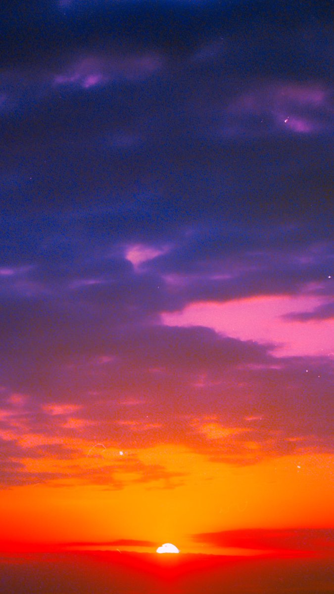 angel 🌙 tweet media